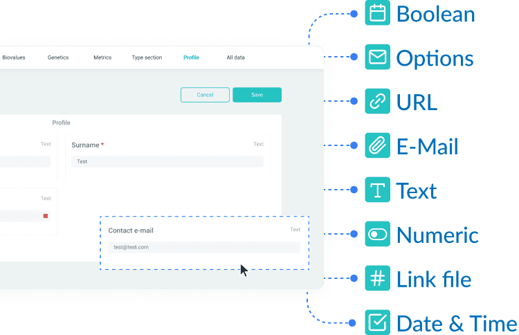 Data templates designer