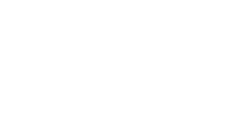 Vivolabs, efficient data management and automated NGS workflows logo